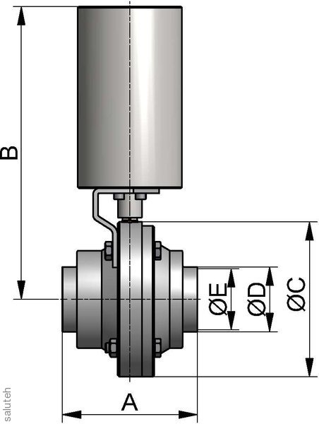 693220253820  Клапан шаровый  SS DN 25 316L BL. PAMS1 LF PTFE/FEP